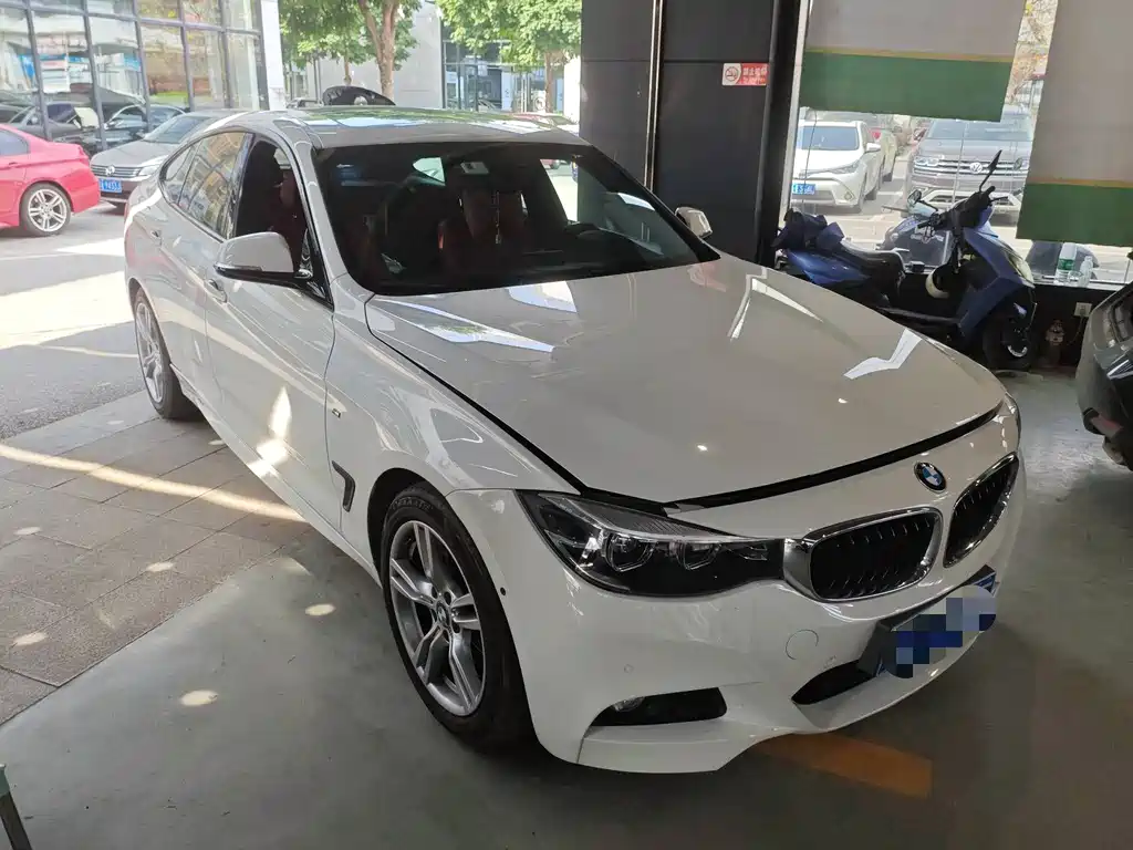 BMW 3 Series GT 320i M Sport Type, фото 2