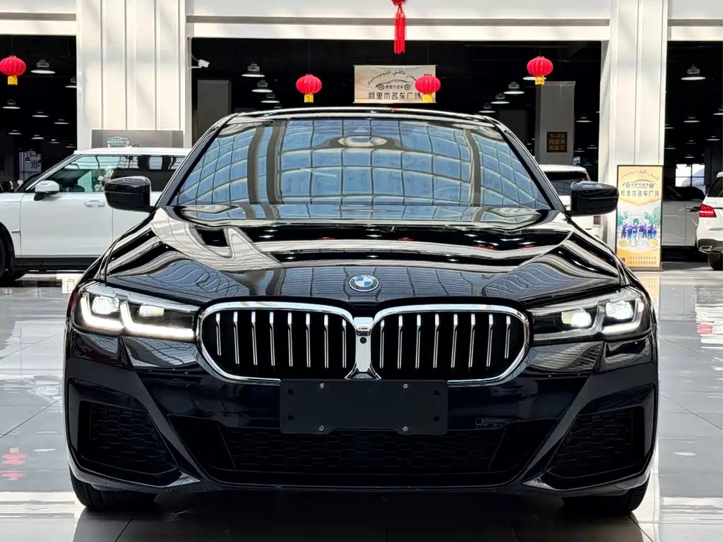 BMW 5 Series — миниатюра 2