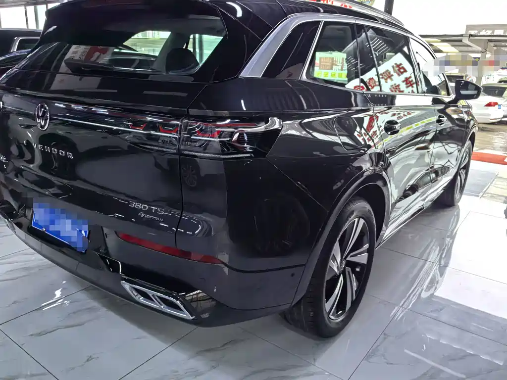Volkswagen Tavendor — миниатюра 6