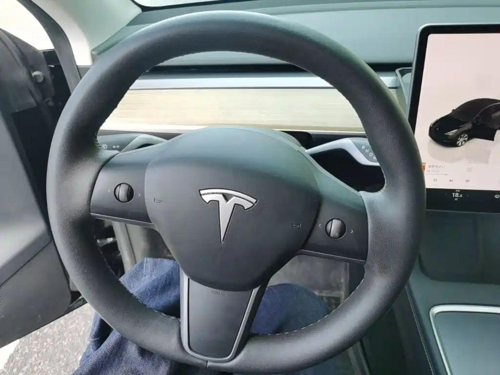 Tesla Model Y — миниатюра 11