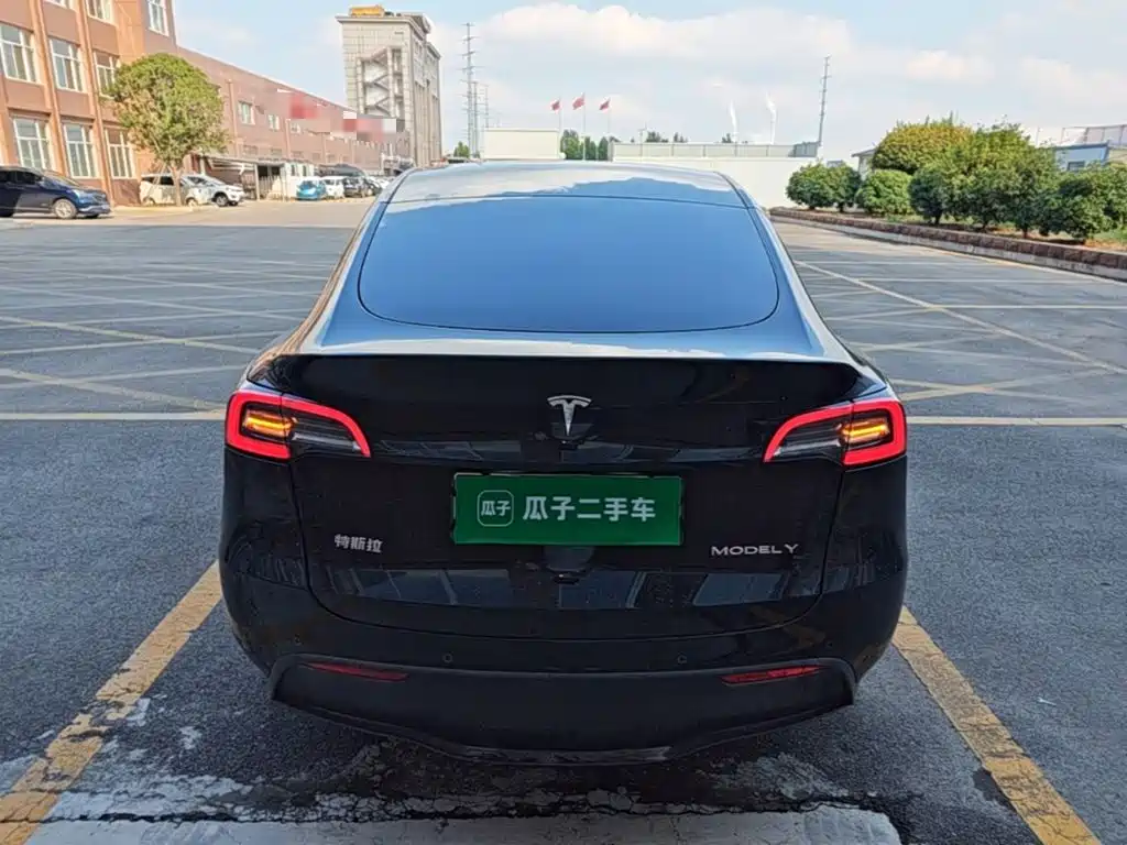 Tesla Model Y — миниатюра 6