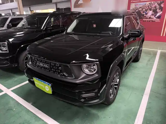 2025 Haval Big Dog