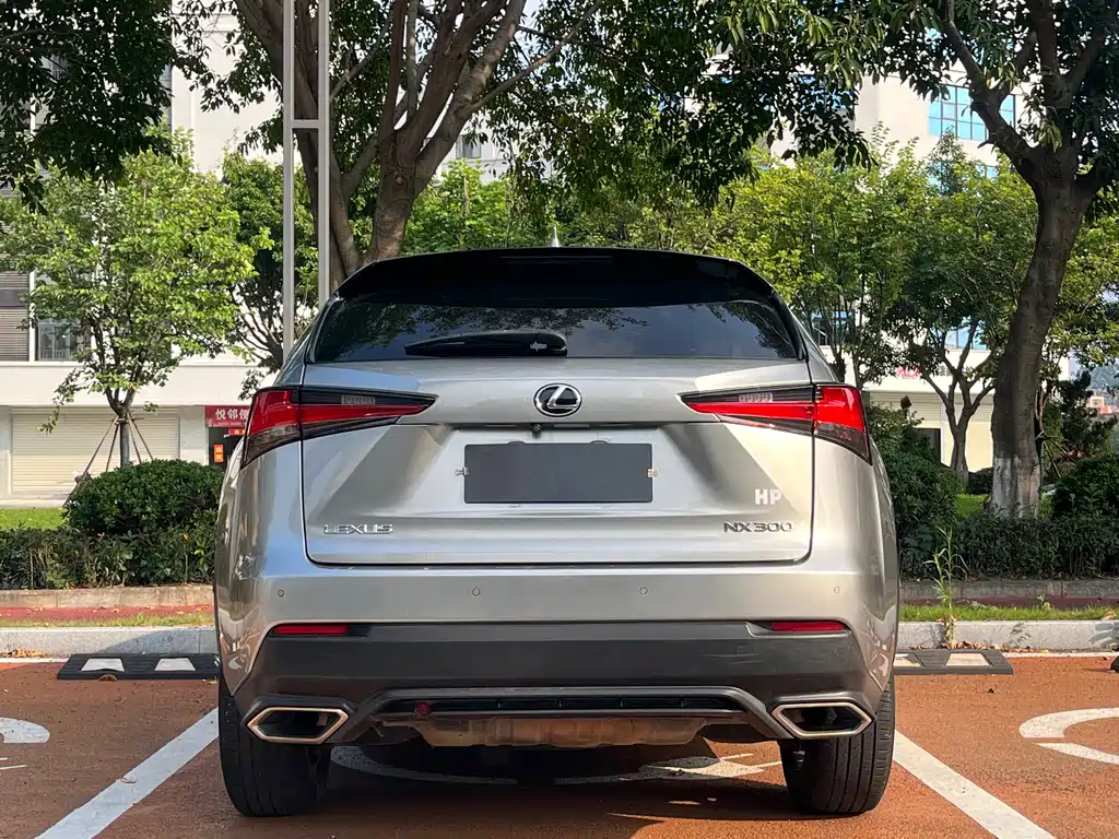 Lexus NX — миниатюра 8