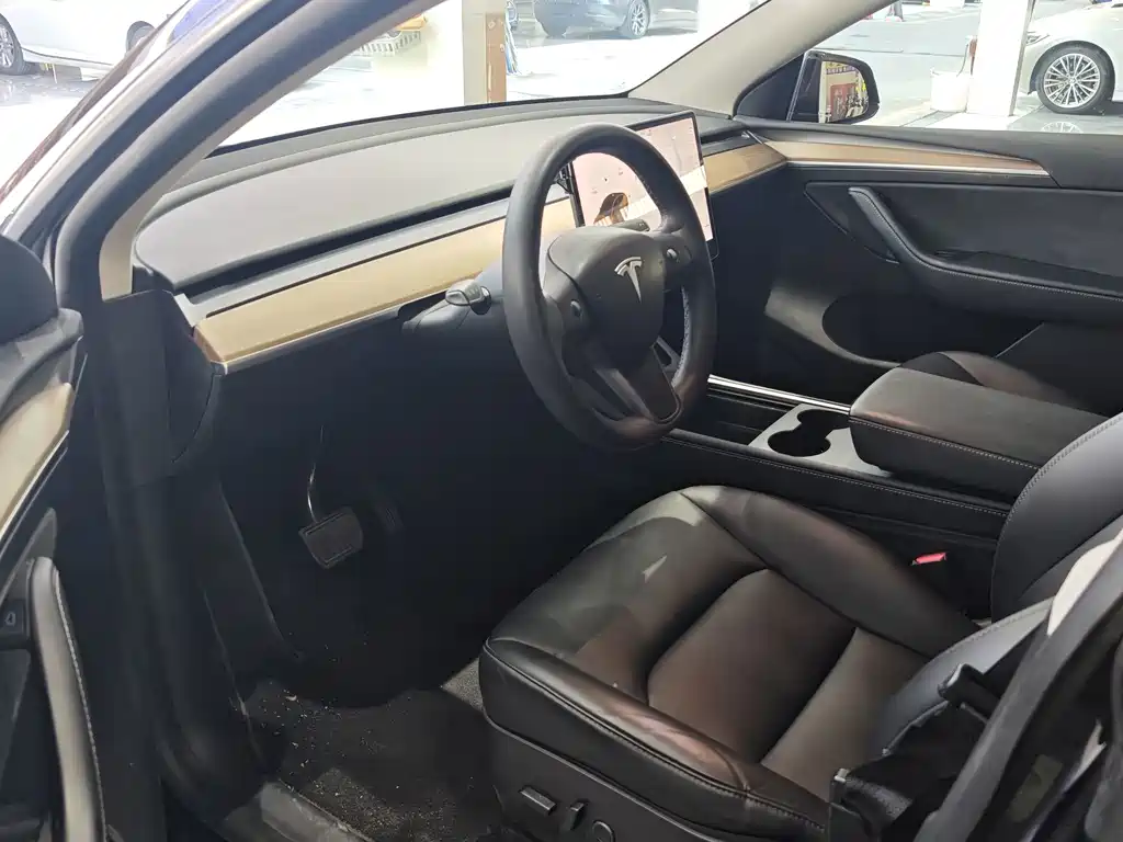 Tesla Model Y — миниатюра 2