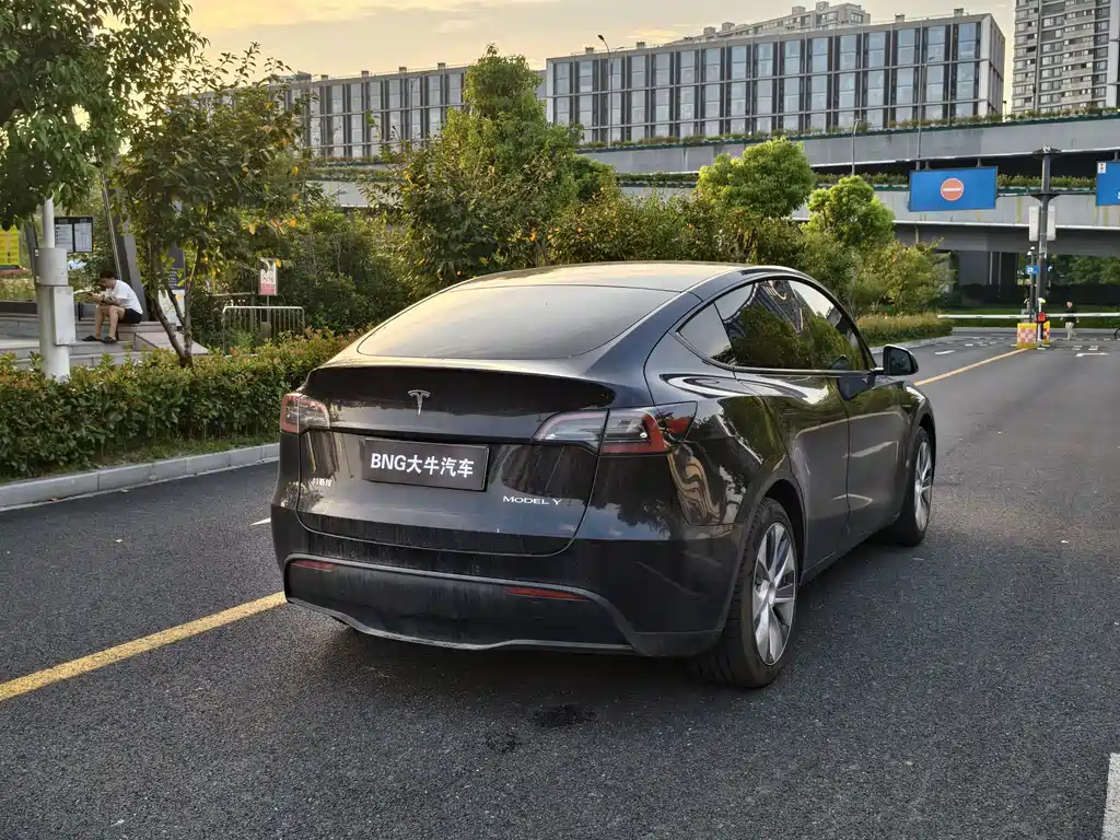 Tesla Model Y — миниатюра 4