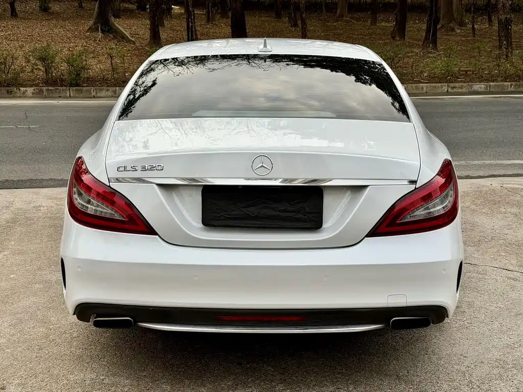 Mercedes-Benz CLS 2015 CLS 320