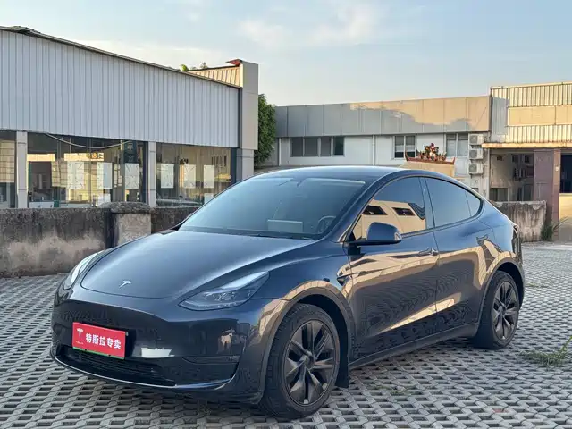 TESLA MODEL Y 2024