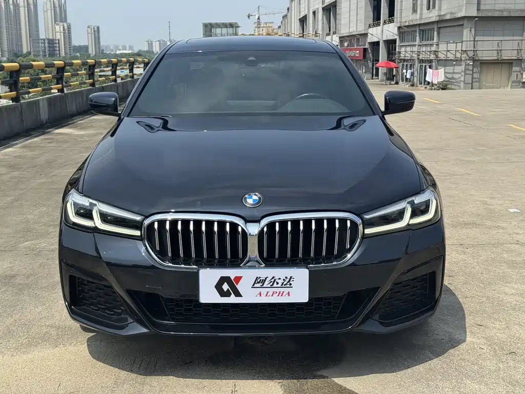BMW 5 Series 5 2021 530Li Lead M Sport