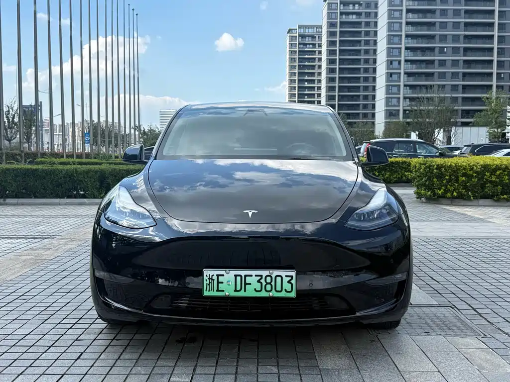 Tesla Model Y — миниатюра 2