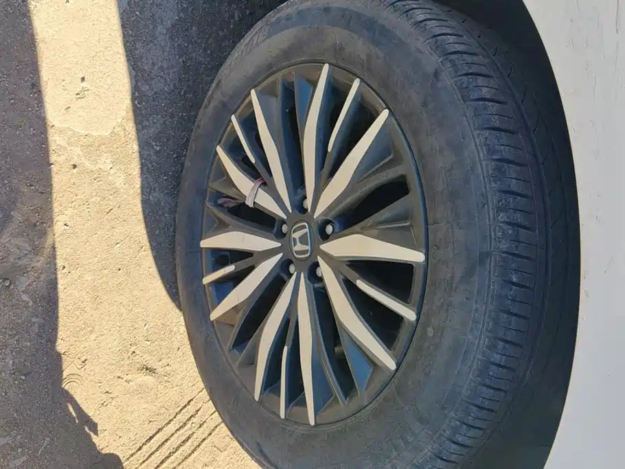 Honda Avancier — миниатюра 6