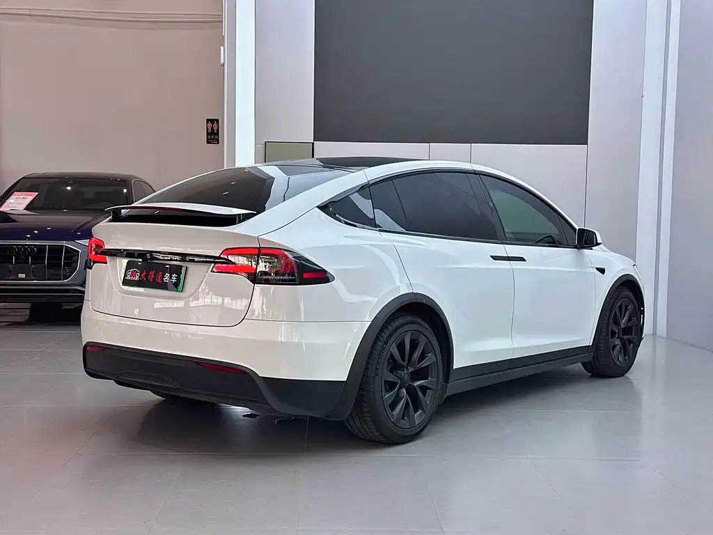 Tesla Model X — миниатюра 20