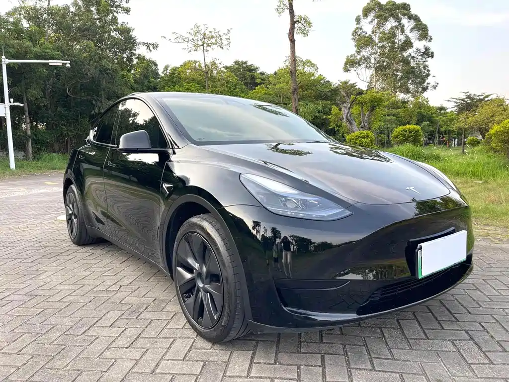 Tesla Model Y — миниатюра 3