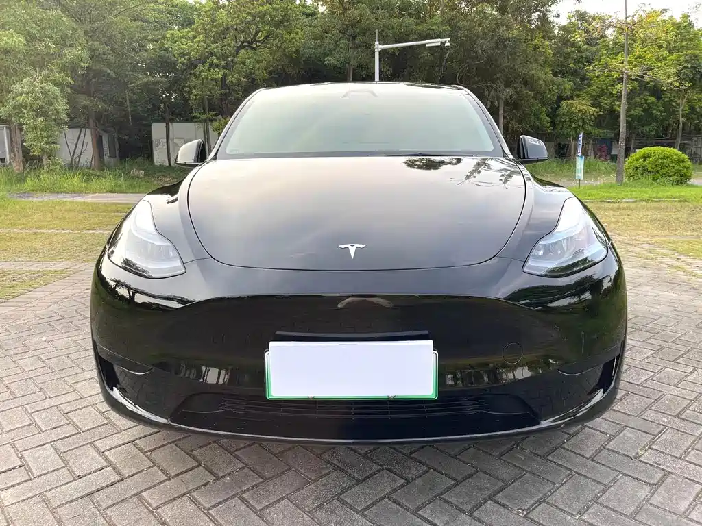 Tesla Model Y — миниатюра 2