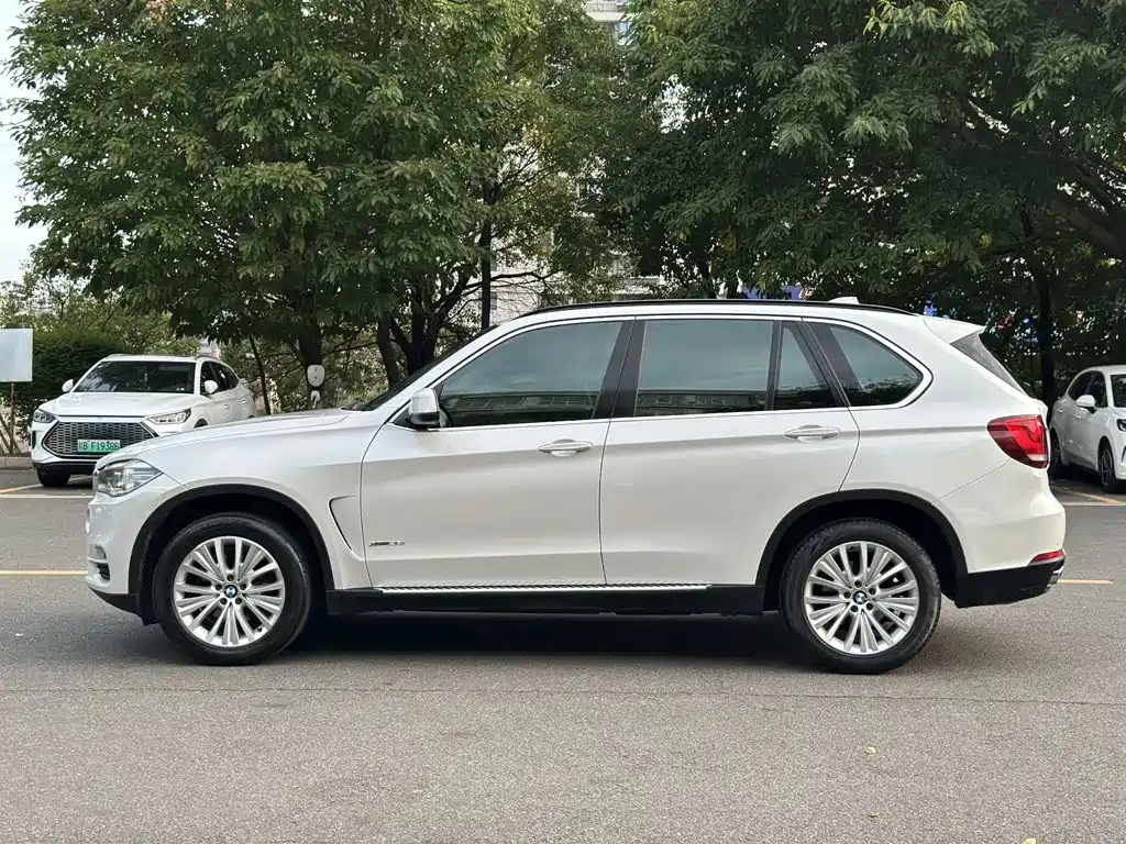 BMW X5 (Import) — миниатюра 8