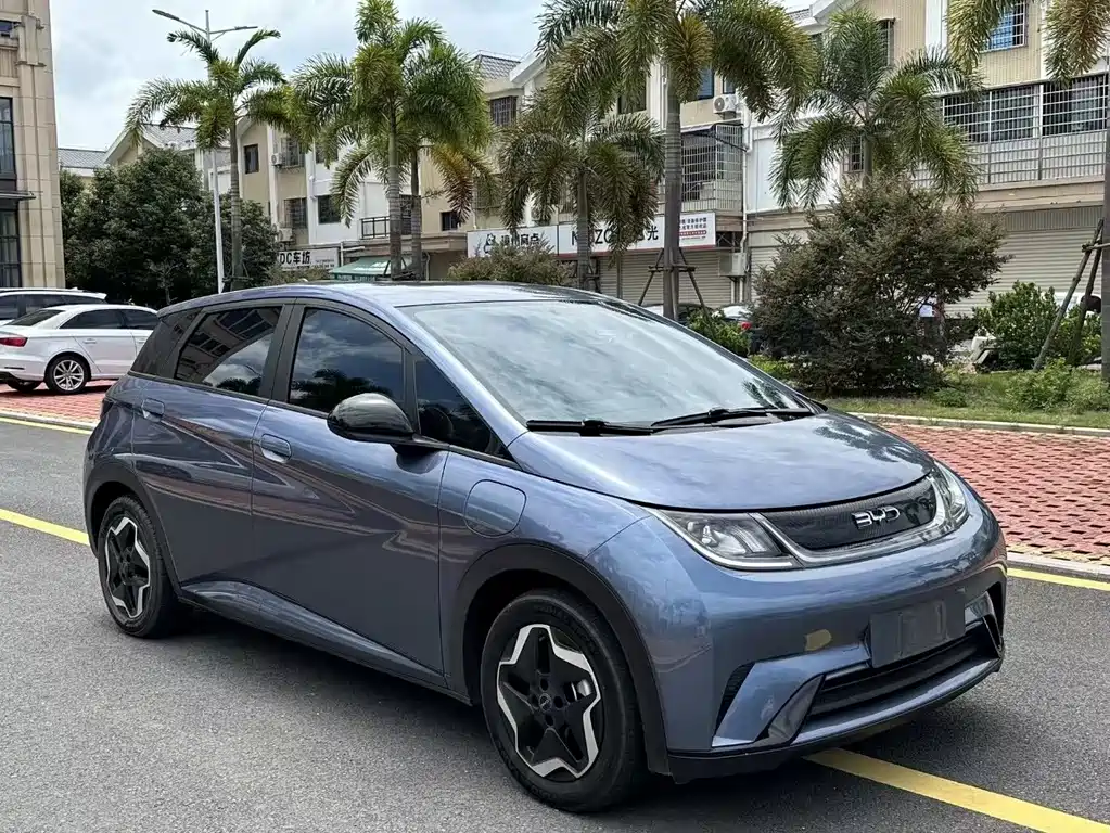 BYD Dolphin — миниатюра 3