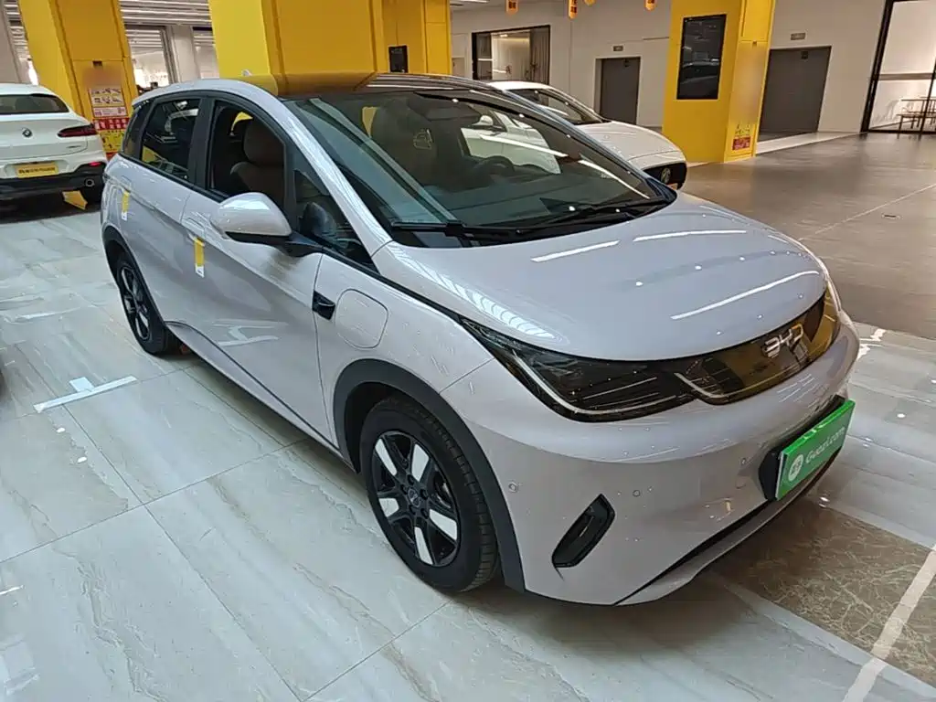 BYD Dolphin — миниатюра 4