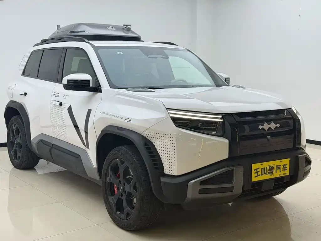 Fangchengbao Leopard 3 3 2025 501KM