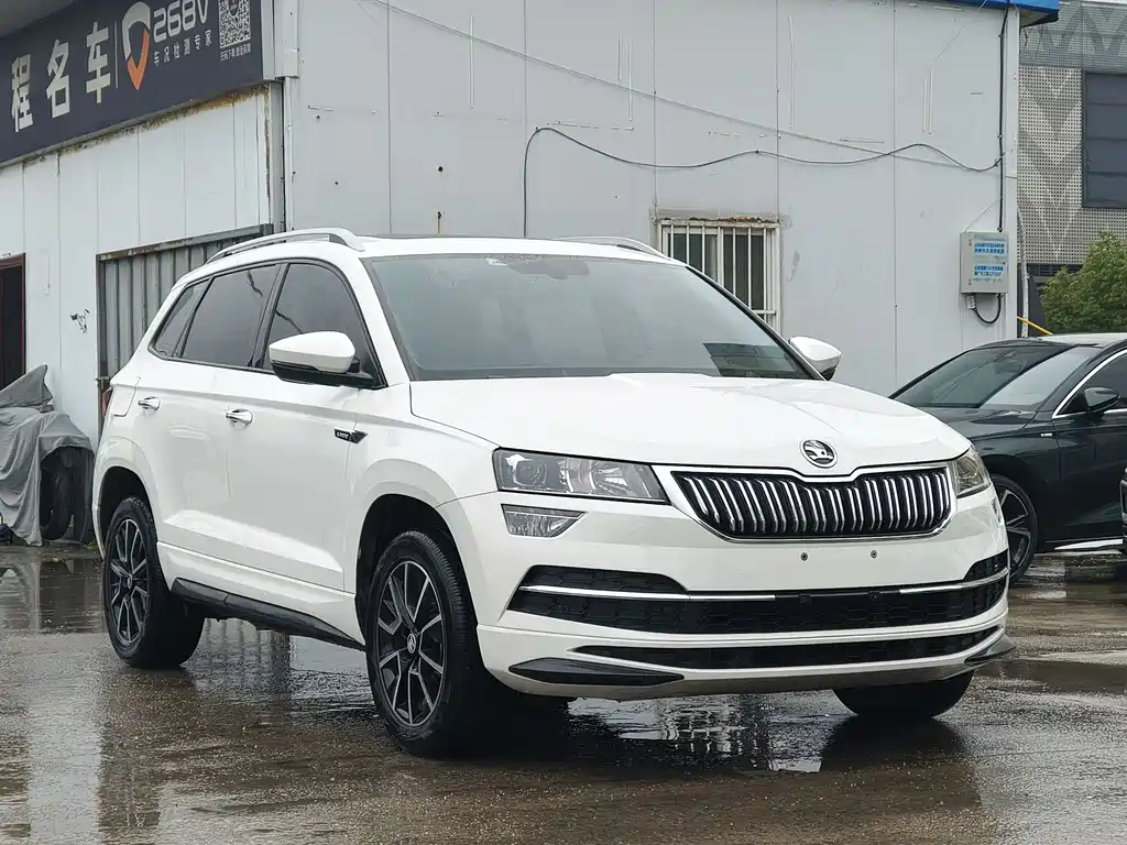 Skoda Karoq TSI280 Premium Edition, фото 3