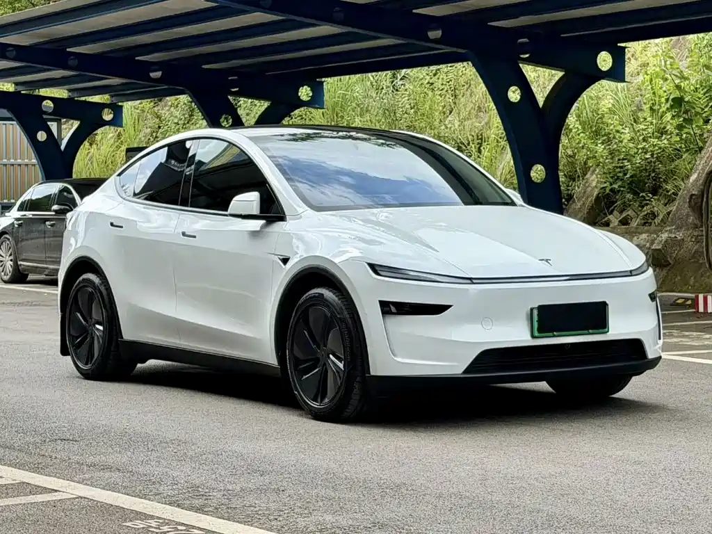 Tesla Model Y — миниатюра 3