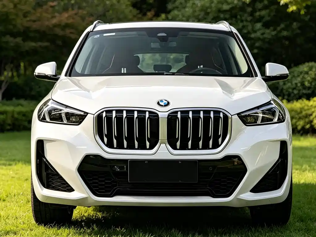 BMW X1 — миниатюра 2