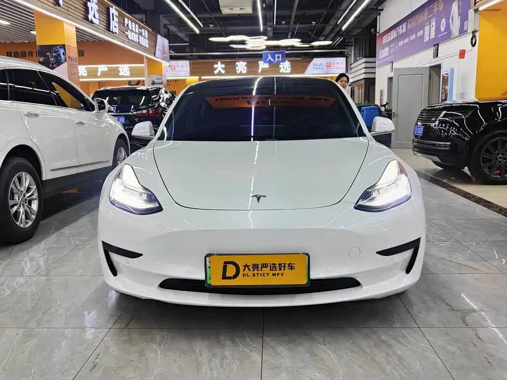 Tesla Model 3 — миниатюра 2
