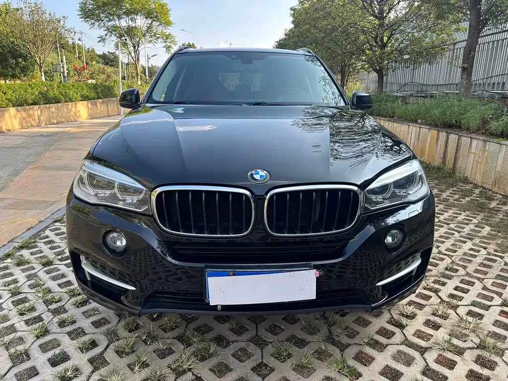 BMW X5 (Import) — миниатюра 3