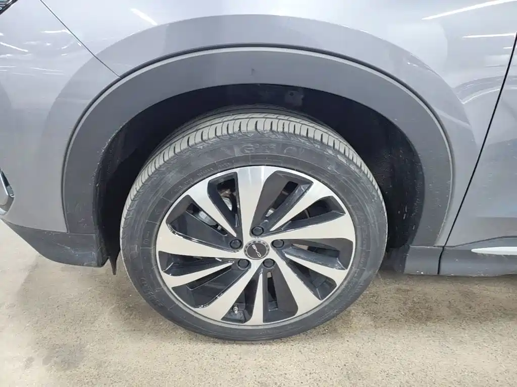 BYD PLUS New Energy — миниатюра 23