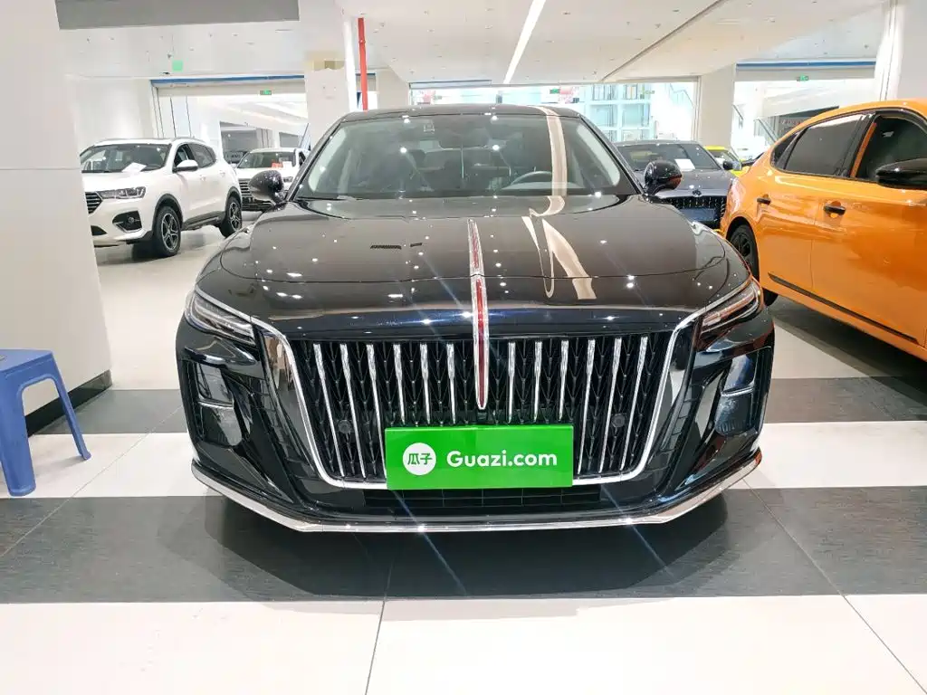 Hongqi Hongqi H5 — миниатюра 3