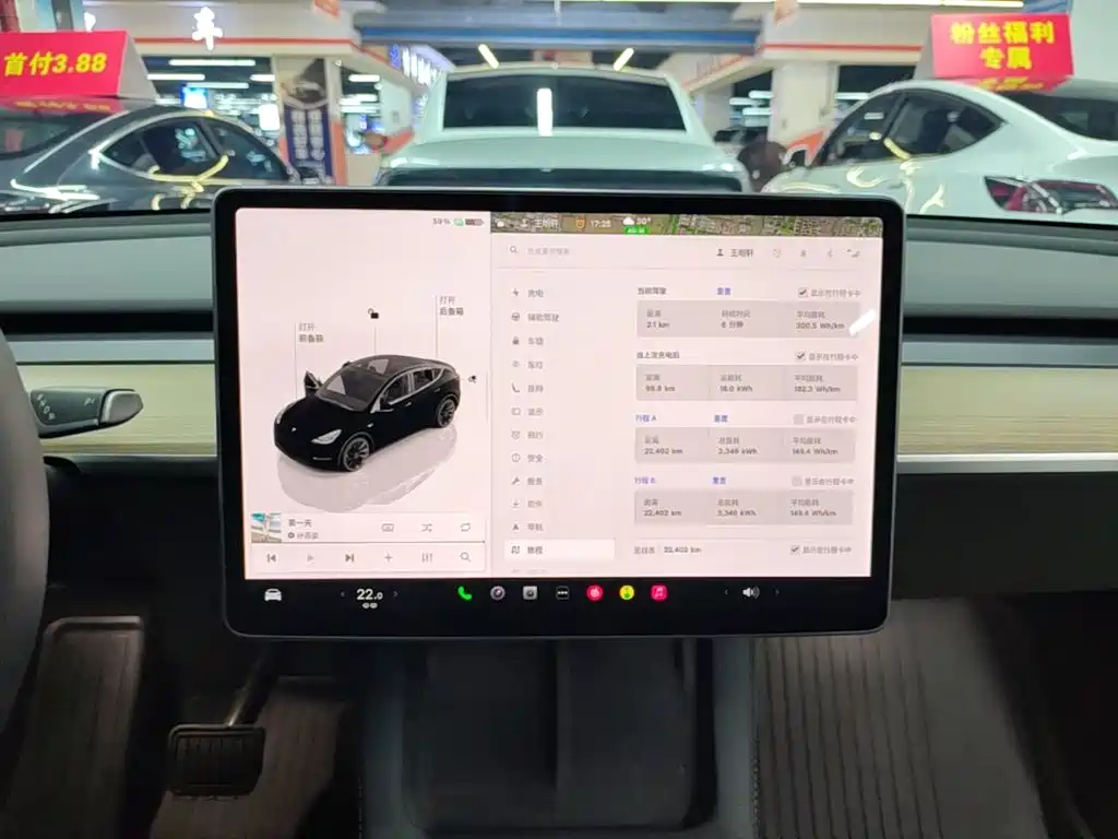 Tesla Model Y — миниатюра 13