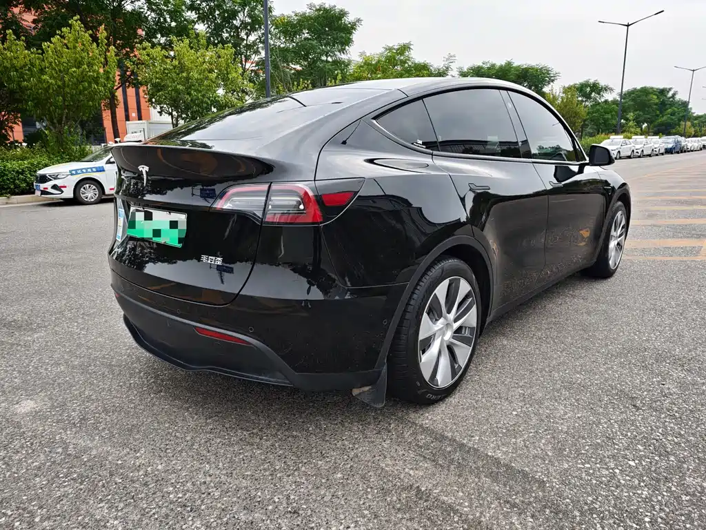 Tesla Model Y — миниатюра 5