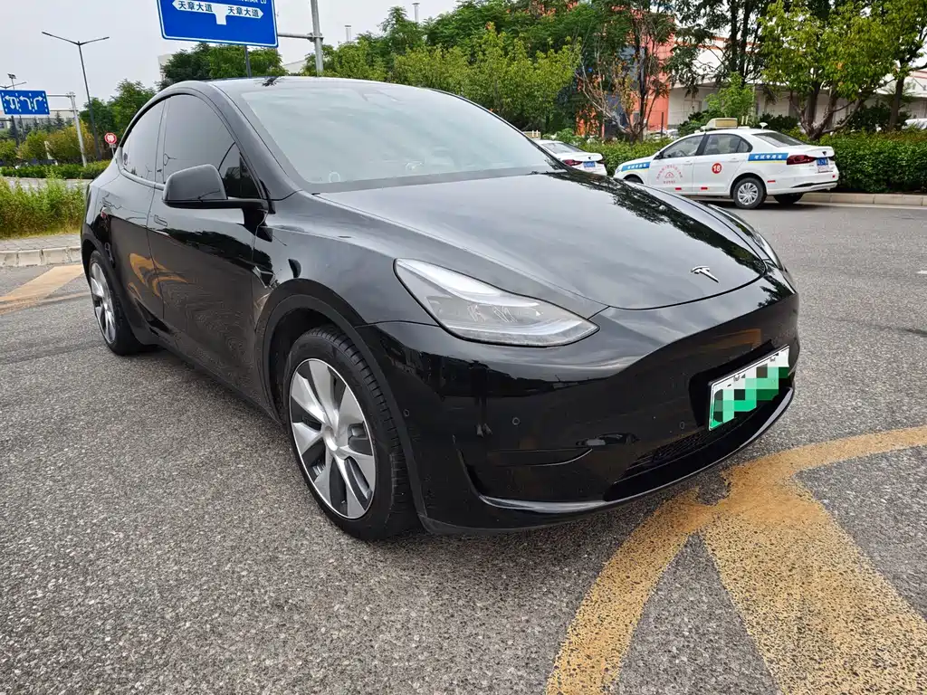 Tesla Model Y — миниатюра 3