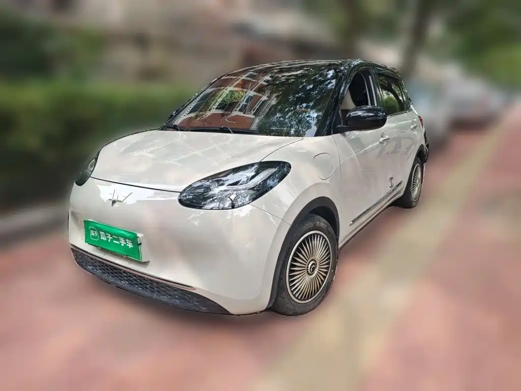 Wuling Bingo