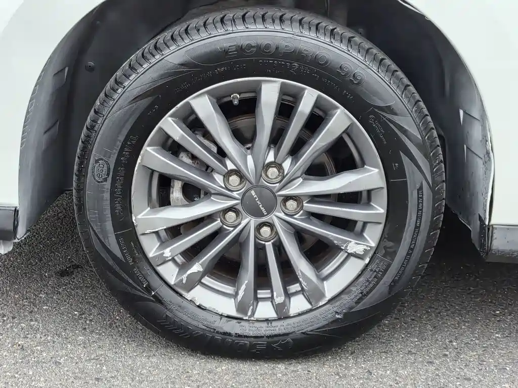 SAIC MAXUS CHASE G50