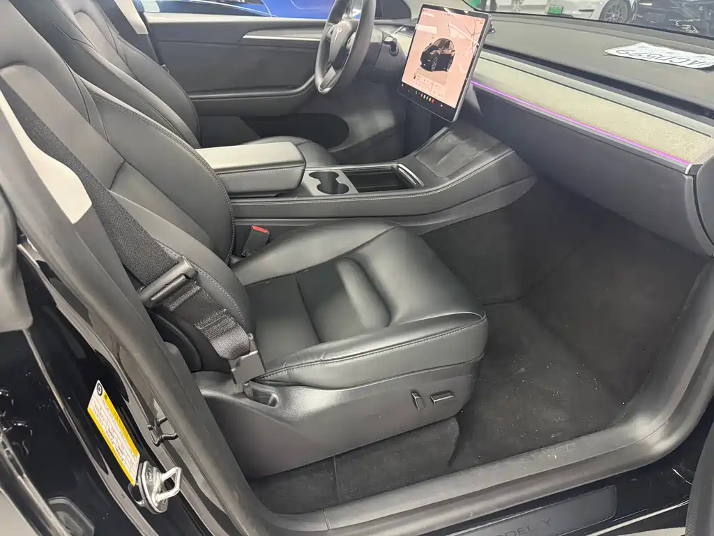 Tesla Model Y — миниатюра 5