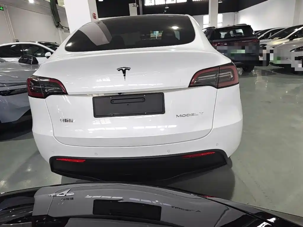 Tesla Model Y — миниатюра 6