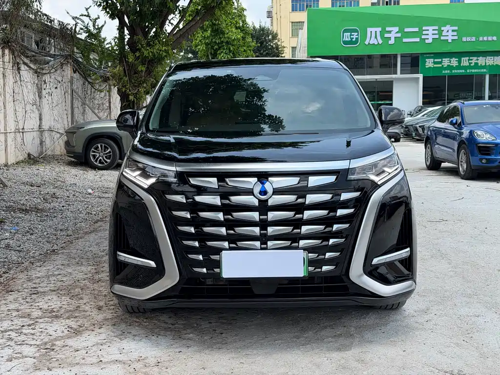 Denza Denza D9 — миниатюра 2