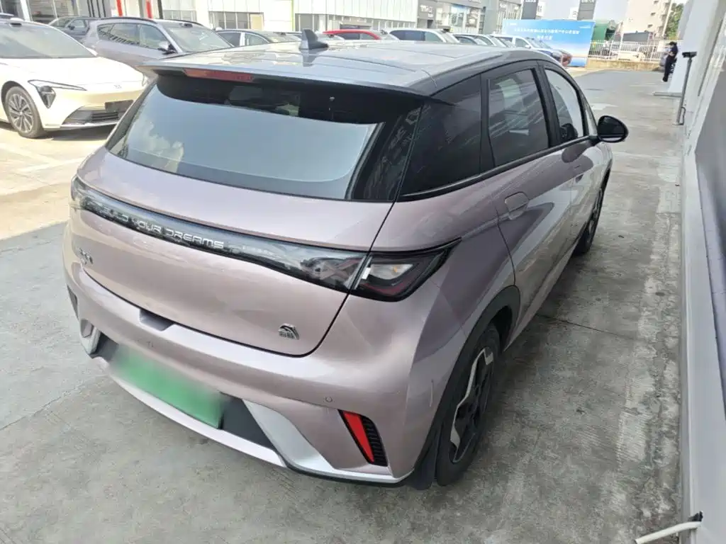 BYD Dolphin — миниатюра 7