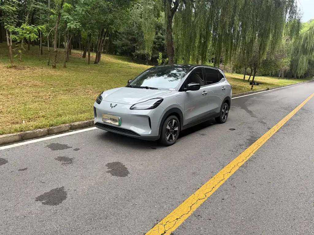 Wuling Bingo PLUS