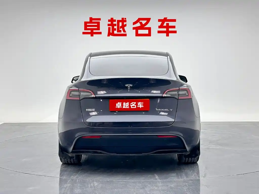 Tesla Model Y — миниатюра 2