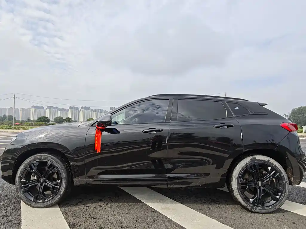 WEI PAI WEI BRAND VV7