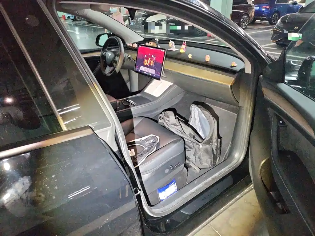 Tesla Model Y — миниатюра 19