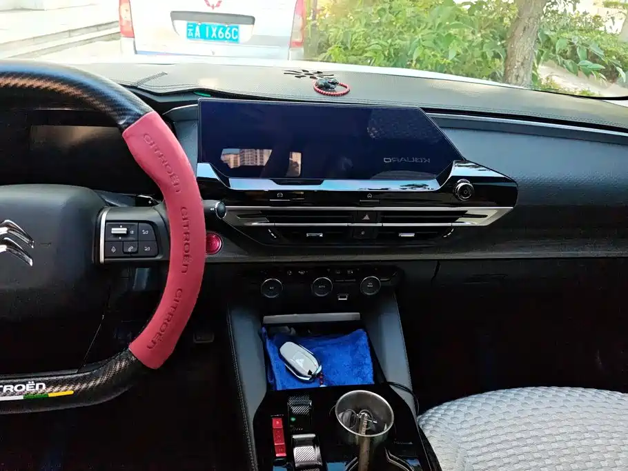 Citroen C5 X — миниатюра 13