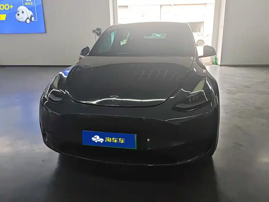 Tesla Model Y — миниатюра 2