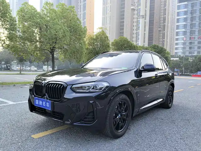 BMW IX3 2024