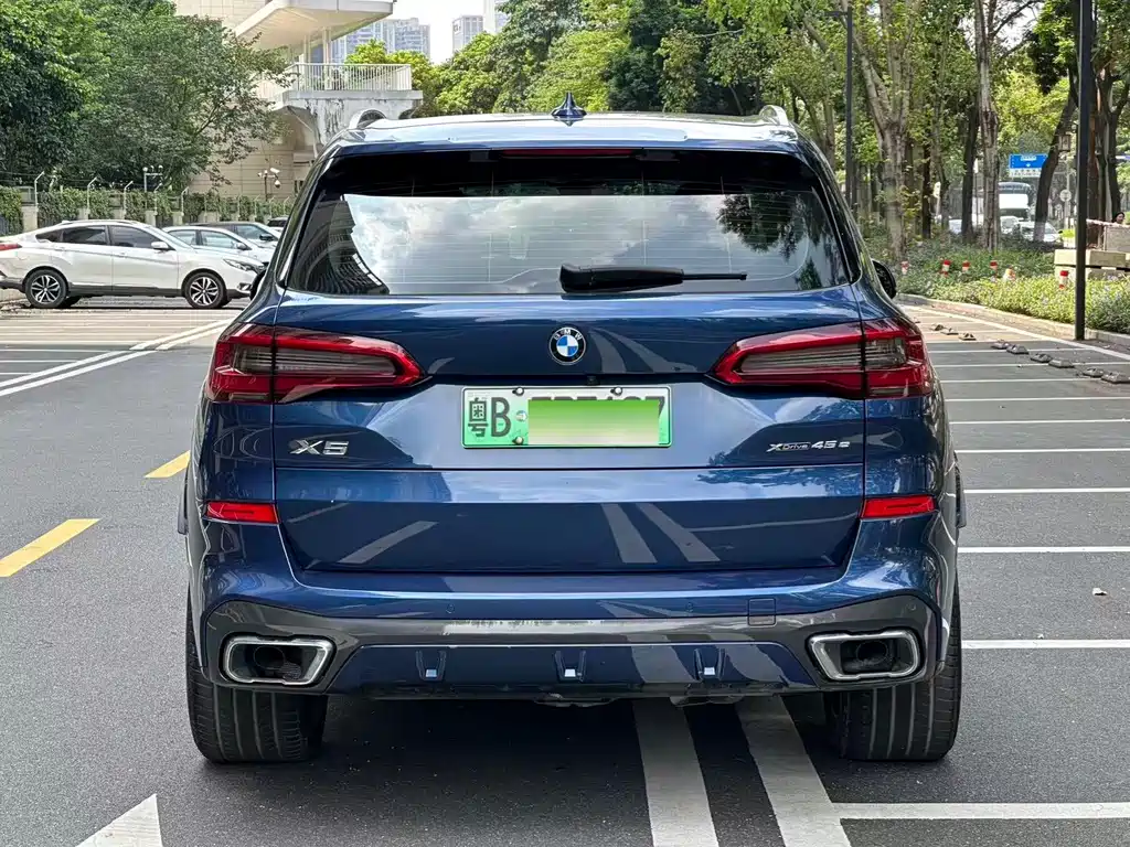 BMW X5 New Energy (Import) — миниатюра 3