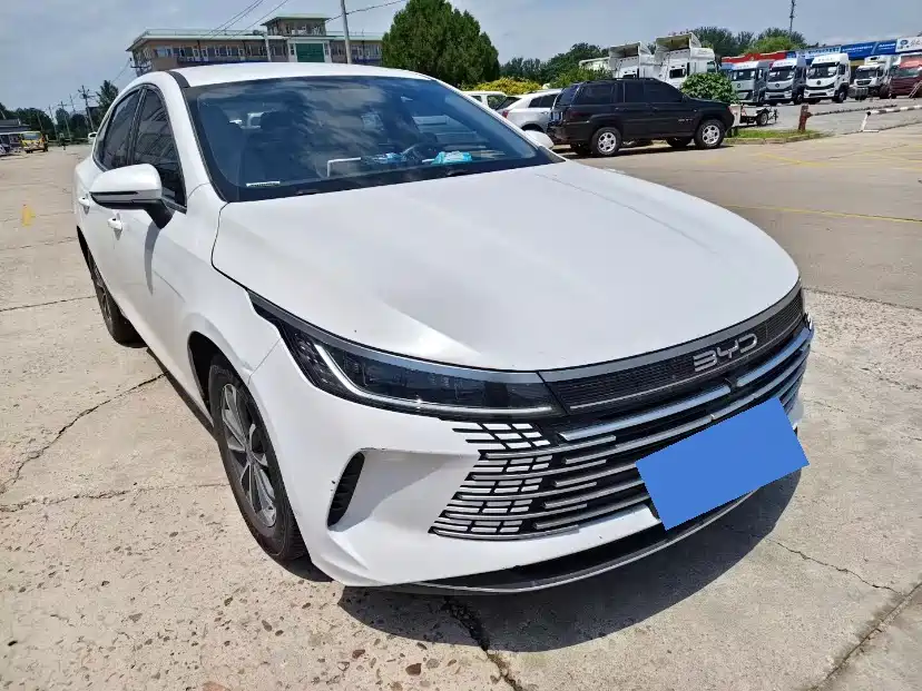 BYD Destroyer 05 2024 DM-i 55KM Luxury