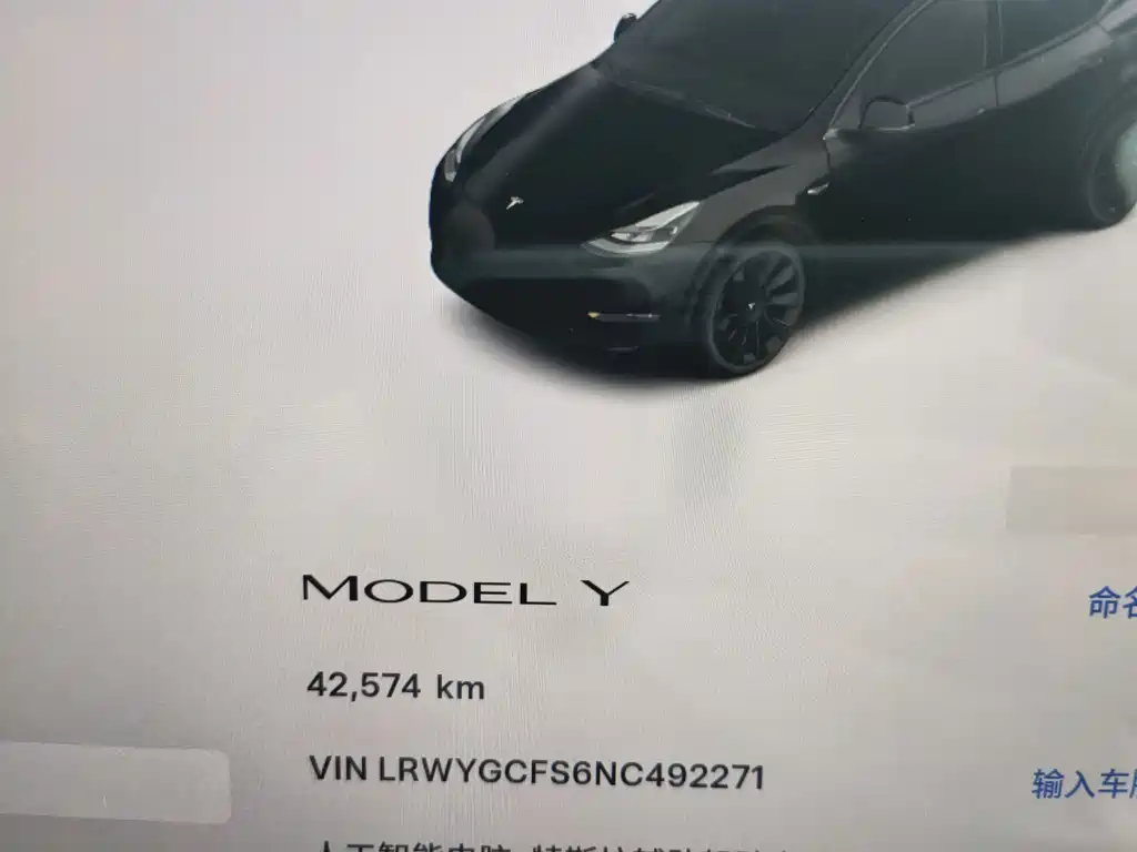 Tesla Model Y — миниатюра 13