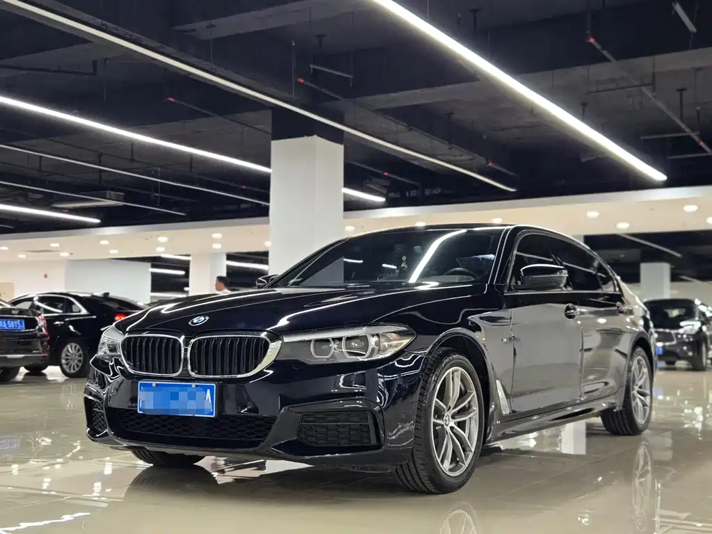 BMW 5 Series — миниатюра 2