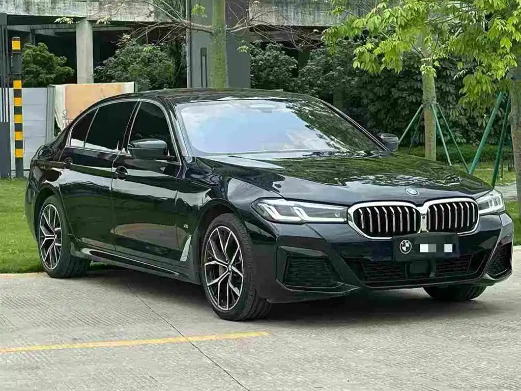 BMW 5 Series 5 2021 530Li Executive M Sport