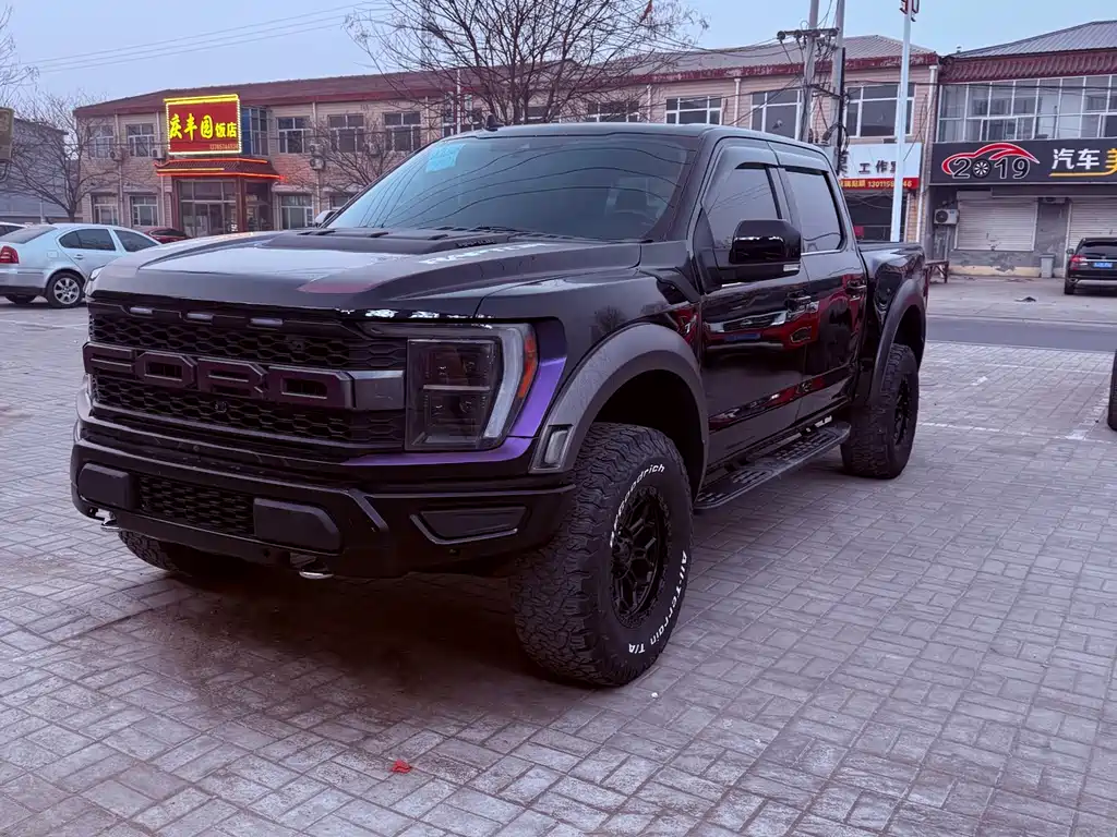 FORD F 150 RAPTOR